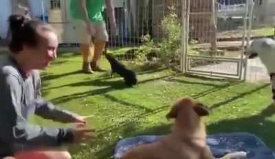 Good girl gets her new legs