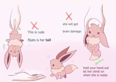 Furry_irl