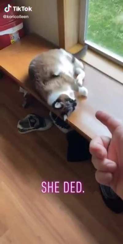 Oh so sweet