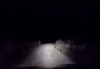 Kangaroo Insurance Fraud (warning: LOUD)