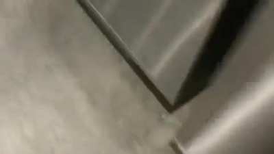 Vegan teacher goes to Costco and gets triggered by everything