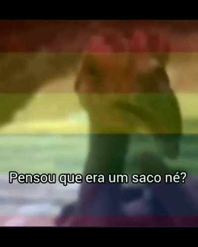 Só um teste