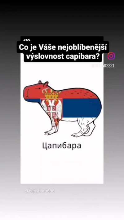 capibara