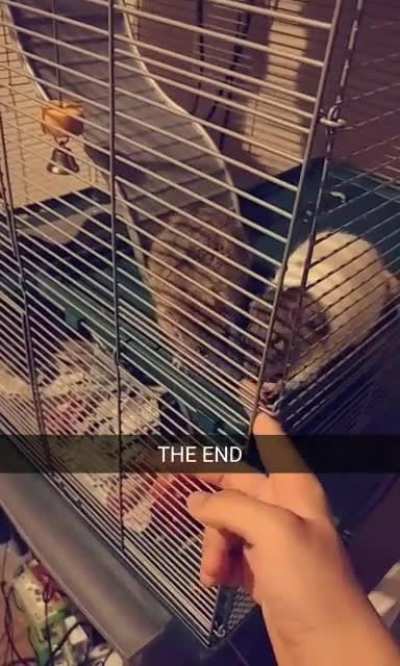 Going through old Snapchat memories and found this old gem