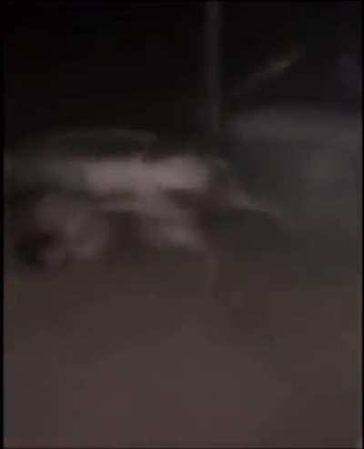 Drunk and climbing the fence