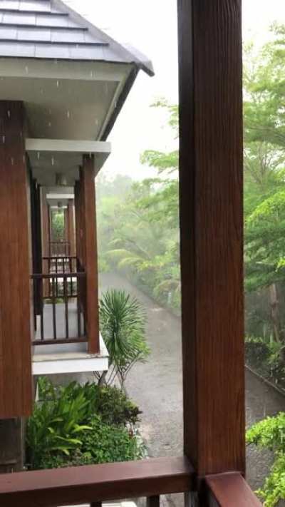 Onset of wet season? Tropical rain in Bali / Indonesia