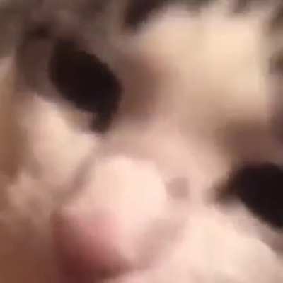 !!!