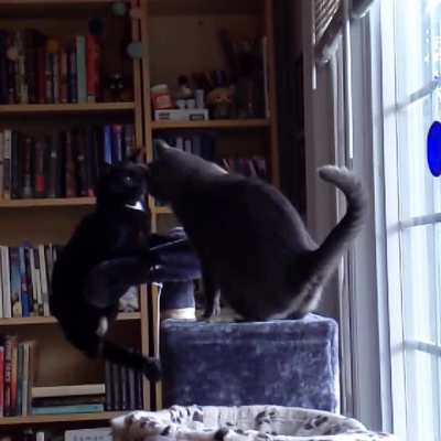 just some brotherly love