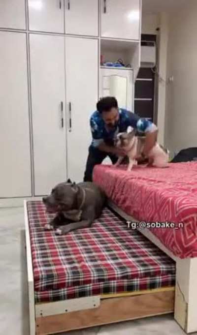 Rather it be the dogs, kids, or wife, that how dads end up sleeping..