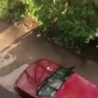 He stuck the landing that's for sure