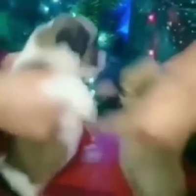Baile épico