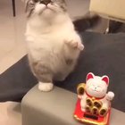 Nice action