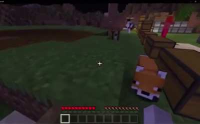 To take Harry’s fox on a walk