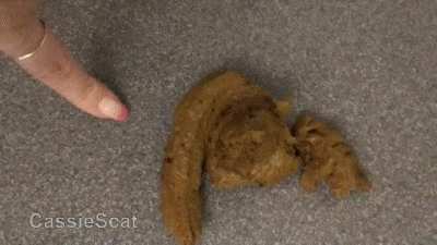 2 Simple Cassie Poops with Dirty Talk [F] [GIF]