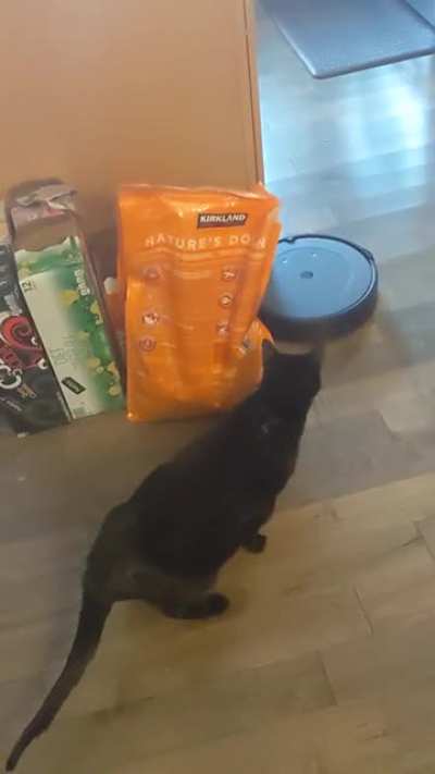 Shadow meets the Roomba