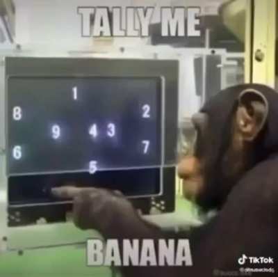 Monke doin a work