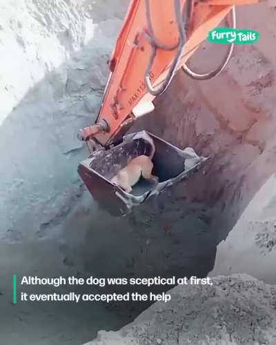 Construction Workers Scoop A Dog Out Of A Pit