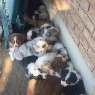 Nap time is...OVER!