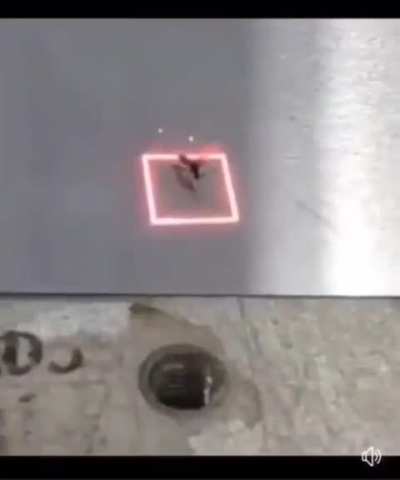 Mosquito Genocide