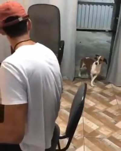 vai chegando a sexta-feira e a gnt só: