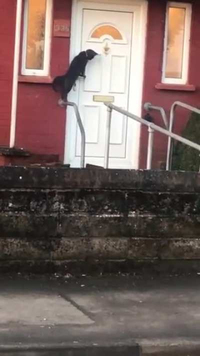 Open the door