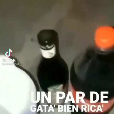 Xd