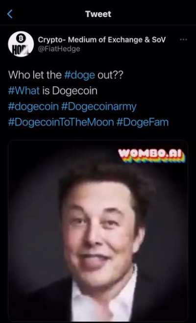These fucking ads I’ve been getting ever since Googling “doge price”