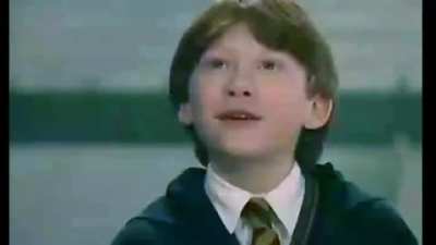 Harry Pooter, American Edition.