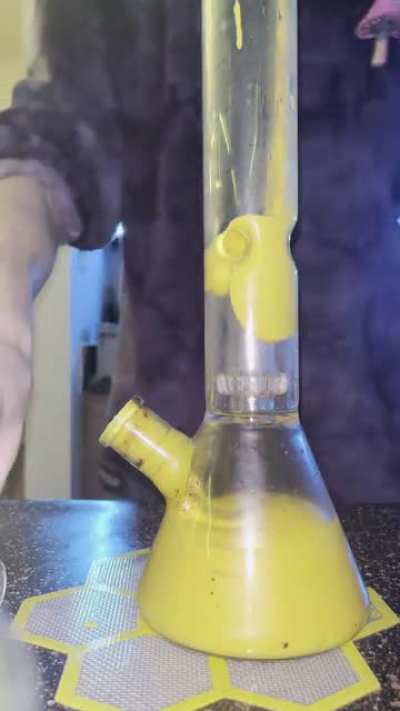 What you know about mustard?
