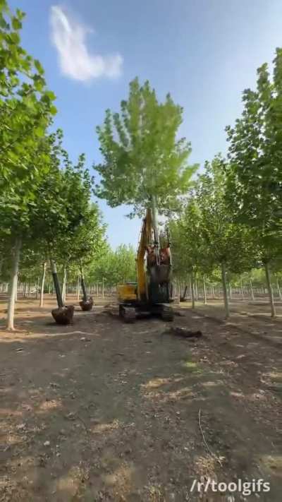 Tree spade