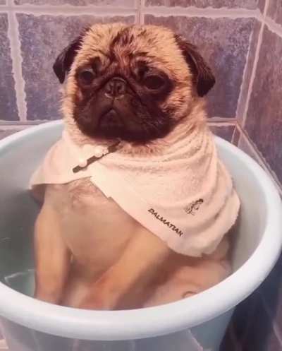 woof_irl