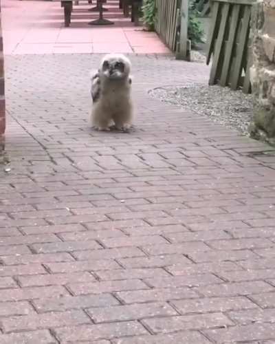 Ready to Jump