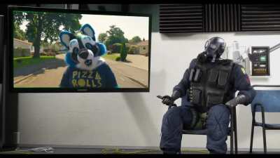 its always the furries