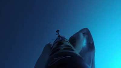 An underwater camera