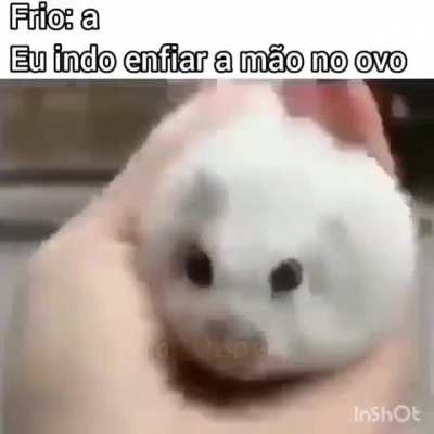 Quentinho