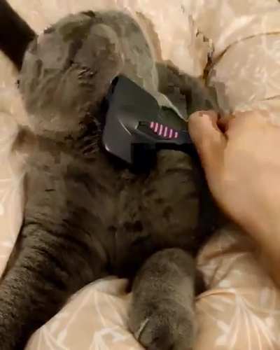 Brushies before bed