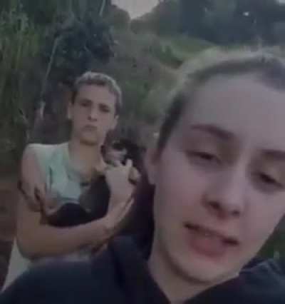 O jaguara