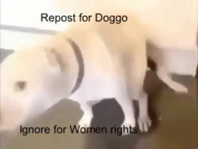 Repost