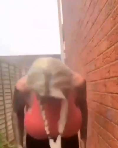 dick mode