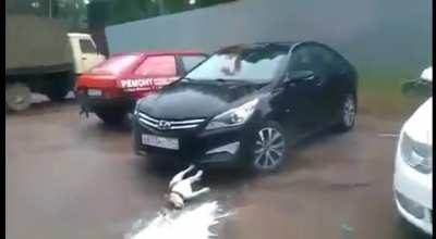 The dog was okay