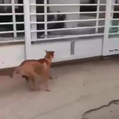 tem que se preparar