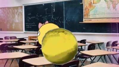 Za WARUDOOO!!!
