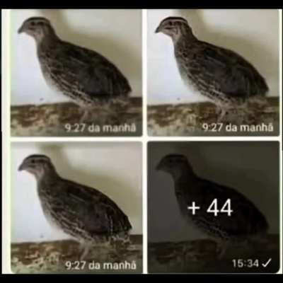Quem quiser