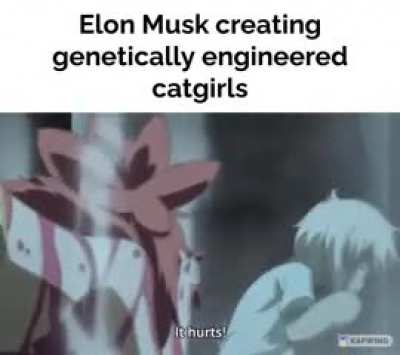 Rule34
