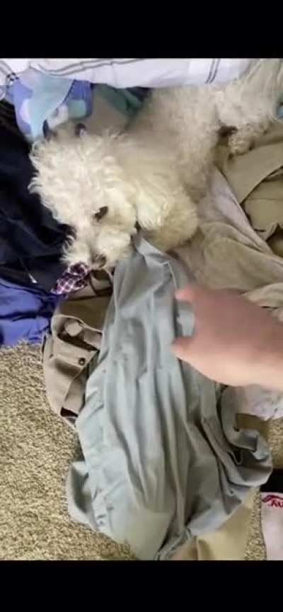 That’s my shirt MUTHAFU-