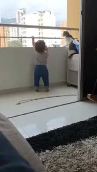 Cat stopping baby from climbing on balcony.
