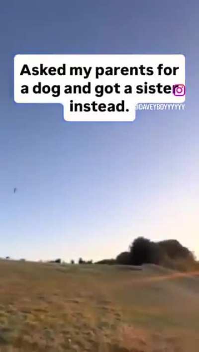 .Dog.