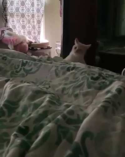 Упоролся