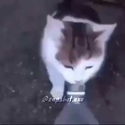 O título da dançando