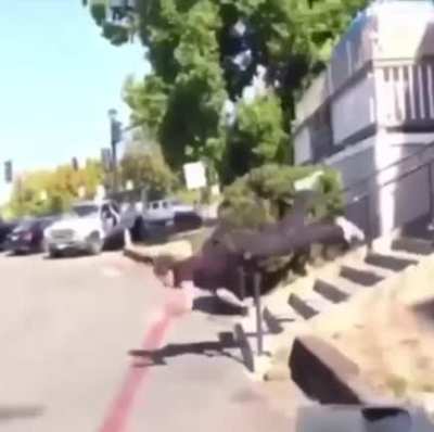 It all happened so fast. Nuts then face plant scorpion.